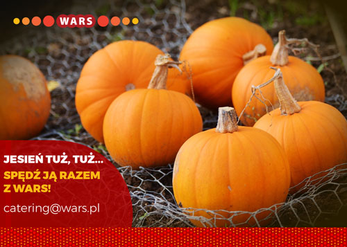 Skontaktuj się z nami!